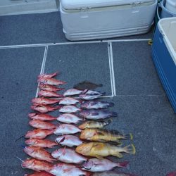 ARCADIAⅡ (アルカディアⅡ) 釣果