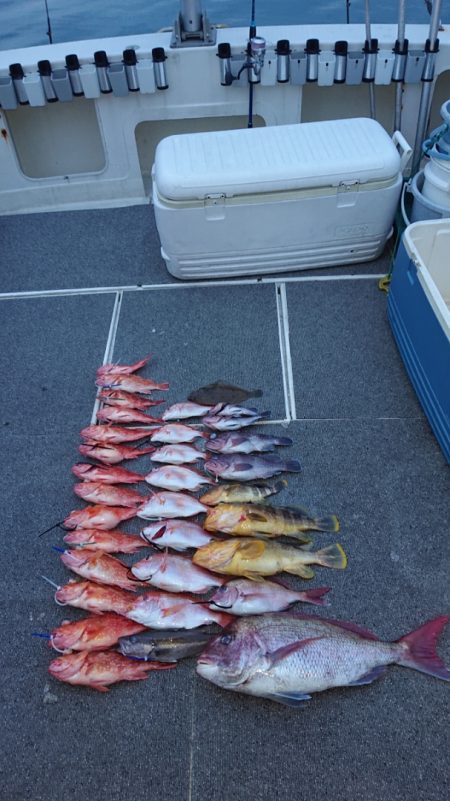 ARCADIAⅡ (アルカディアⅡ) 釣果