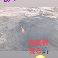 龍神丸(鹿児島) 釣果