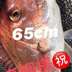 龍神丸(鹿児島) 釣果