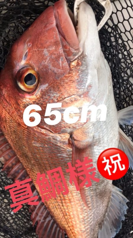 龍神丸(鹿児島) 釣果