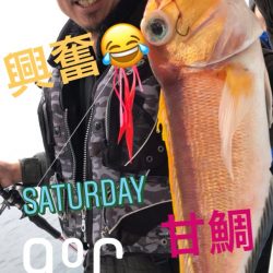 龍神丸(鹿児島) 釣果