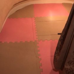 龍神丸(鹿児島) 釣果