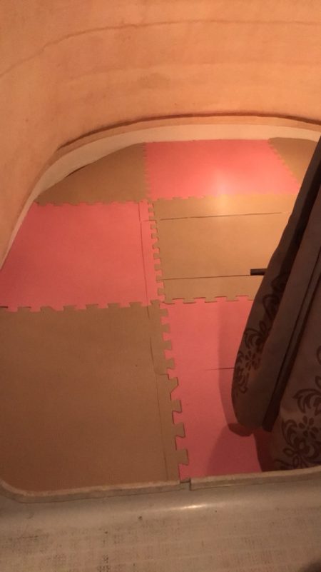 龍神丸(鹿児島) 釣果