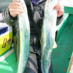 金沢八景鴨下丸 釣果