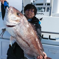 新幸丸 釣果