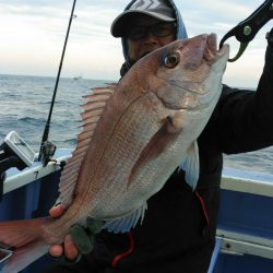 新幸丸 釣果