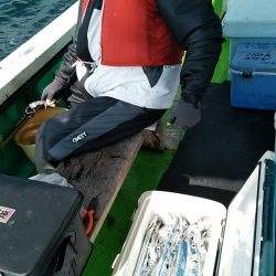小島丸 釣果
