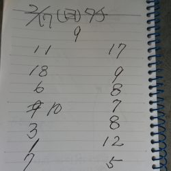 金沢八景鴨下丸 釣果