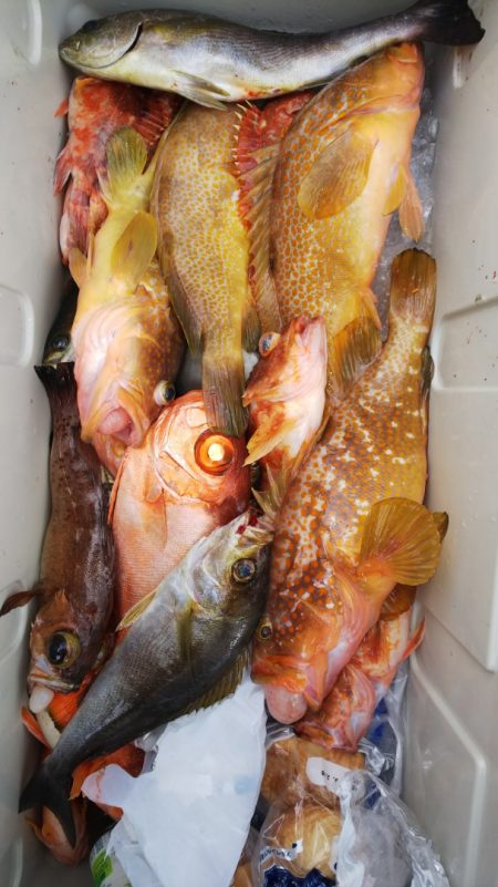 第二龍勢丸 釣果