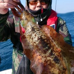 きずなまりん 釣果