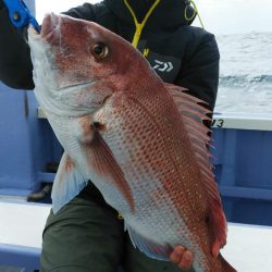 新幸丸 釣果