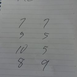 金沢八景鴨下丸 釣果