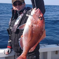 ARCADIAⅡ （アルカディアⅡ） 釣果