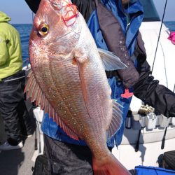 ARCADIAⅡ （アルカディアⅡ） 釣果