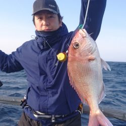 ARCADIAⅡ （アルカディアⅡ） 釣果