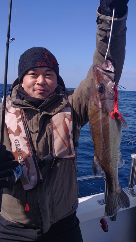 ARCADIAⅡ （アルカディアⅡ） 釣果