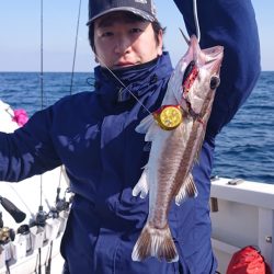 ARCADIAⅡ （アルカディアⅡ） 釣果