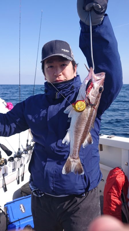 ARCADIAⅡ （アルカディアⅡ） 釣果