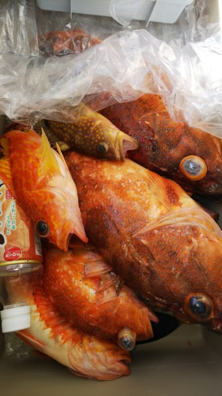 第二龍勢丸 釣果