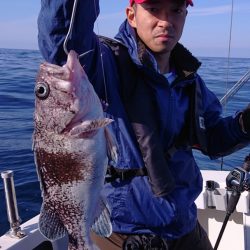 ARCADIAⅡ （アルカディアⅡ） 釣果