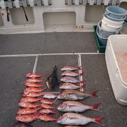 ARCADIAⅡ （アルカディアⅡ） 釣果