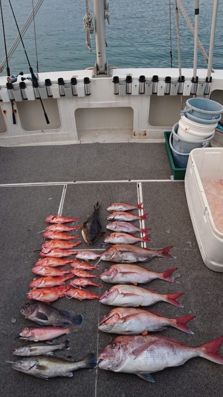 ARCADIAⅡ （アルカディアⅡ） 釣果