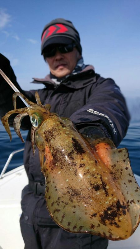 きずなまりん 釣果