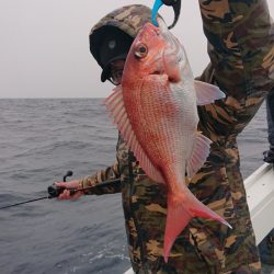 だて丸 釣果