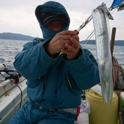 小島丸 釣果