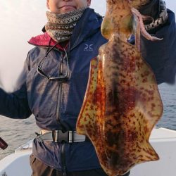 きずなまりん 釣果