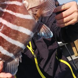 第二龍勢丸 釣果