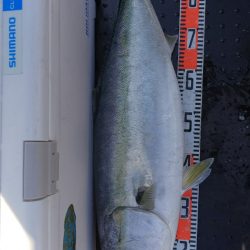 第二龍勢丸 釣果