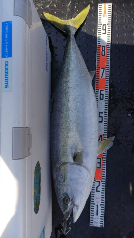 第二龍勢丸 釣果