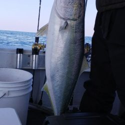 第二龍勢丸 釣果