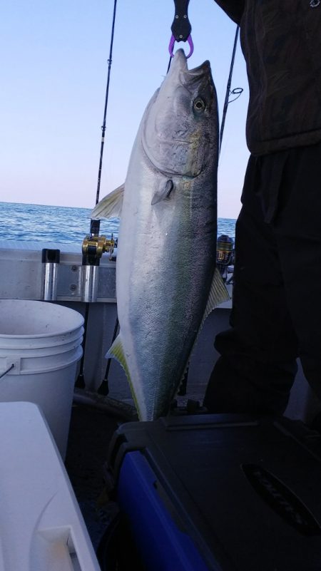 第二龍勢丸 釣果