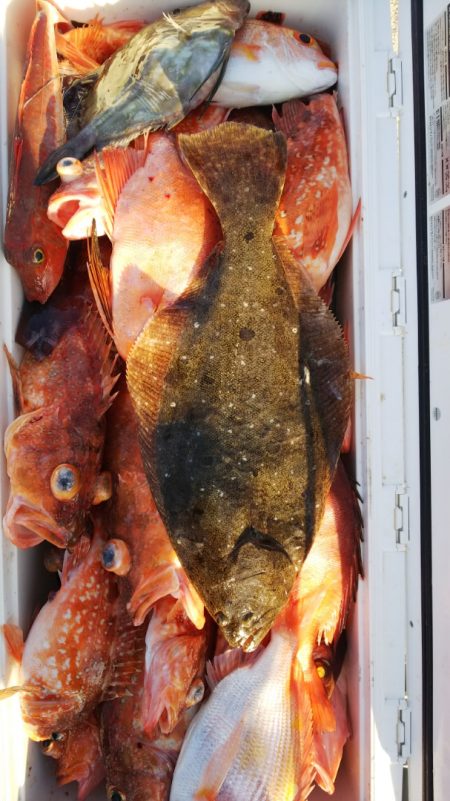 第二龍勢丸 釣果