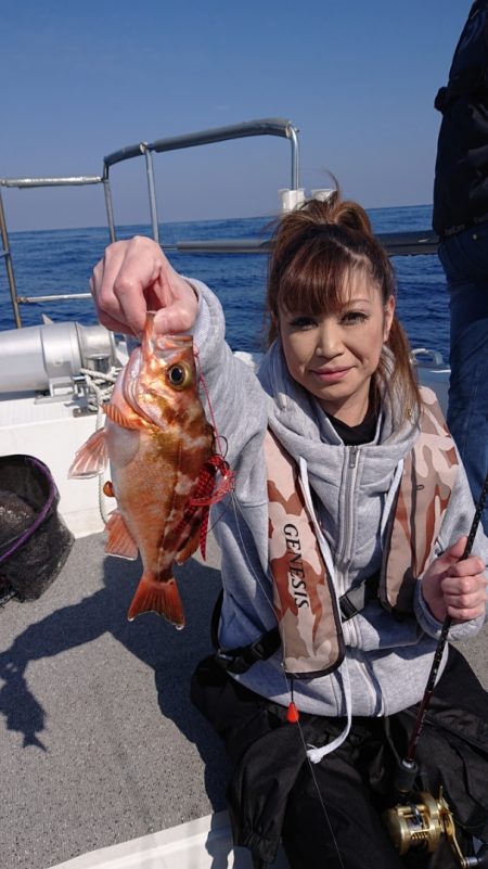 ARCADIAⅡ （アルカディアⅡ） 釣果…