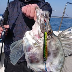 ARCADIAⅡ （アルカディアⅡ） 釣果