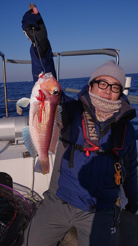 ARCADIAⅡ （アルカディアⅡ） 釣果