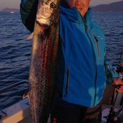 ARCADIAⅡ （アルカディアⅡ） 釣果