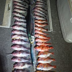 ARCADIAⅡ （アルカディアⅡ） 釣果