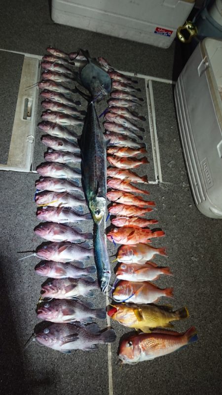 ARCADIAⅡ （アルカディアⅡ） 釣果