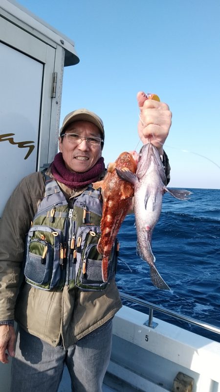 LUSTER『ラスター』 釣果