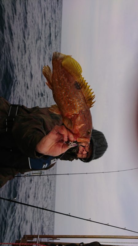 鷹王丸 釣果