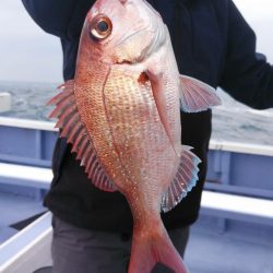 新幸丸 釣果