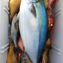 第二龍勢丸 釣果