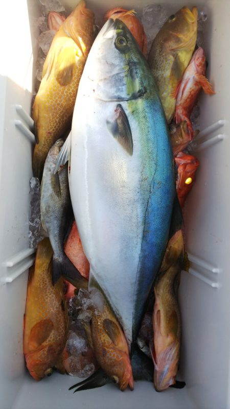 第二龍勢丸 釣果