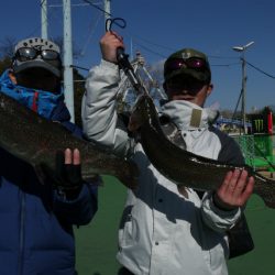 としまえんフィッシングエリア 釣果