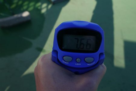 としまえんフィッシングエリア 釣果